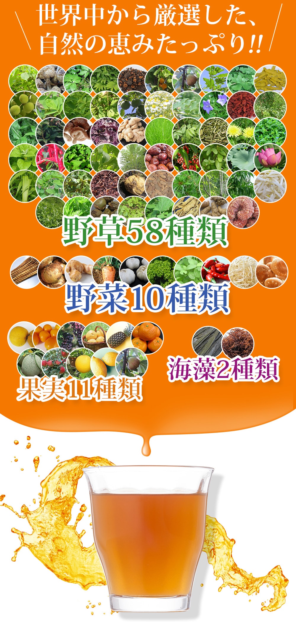 世界中から厳選した、自然の恵みたっぷり!!野草58種類、野菜10種類、海藻2種類、果実11種類