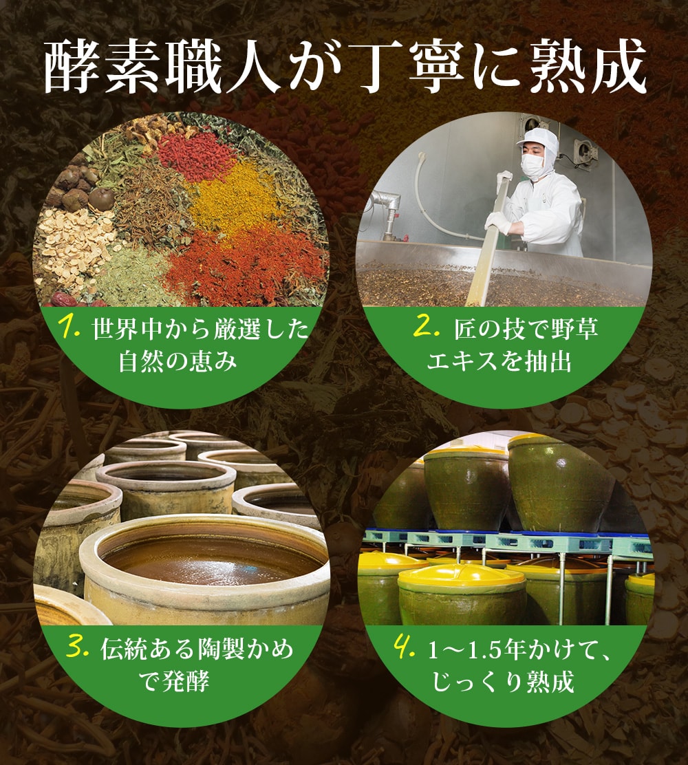 酵素職人が丁寧に熟成。1.世界中から厳選した自然の恵み。2.匠の技で野草エキスを抽出。3.伝統ある陶製かめで発酵。4.1〜1.5年かけて、じっくり熟成
