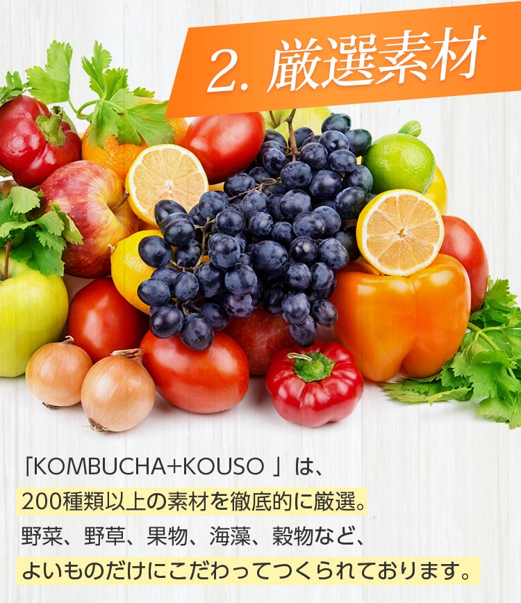 2.厳選素材/「KOMBUCHA+KOUSO」は、200種類以上の素材を徹底的に厳選。野菜、野草、果物、海藻、穀物など、よいものだけにこだわってつくられています。