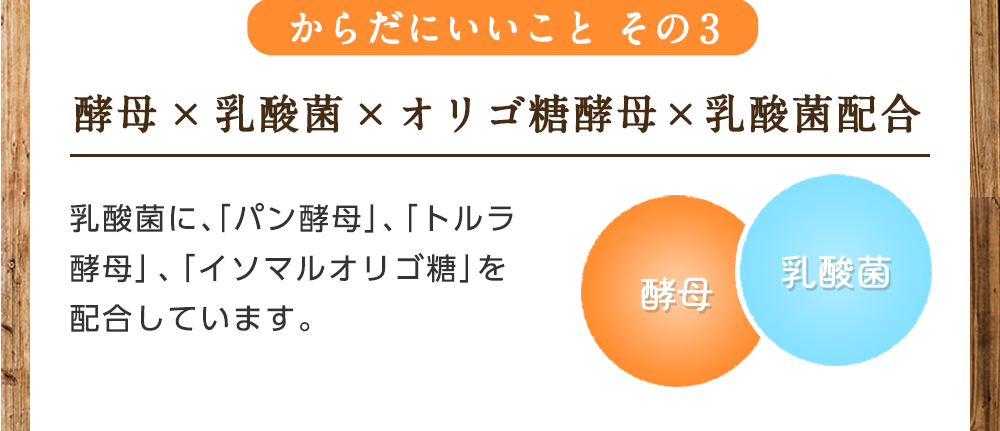 からだにいいことその3/酵母×乳酸菌×オリゴ糖酵母×乳酸菌配合/乳酸菌に、「パン酵母」、「トルラ酵母」、「イソマルオリゴ糖」を配合しています。