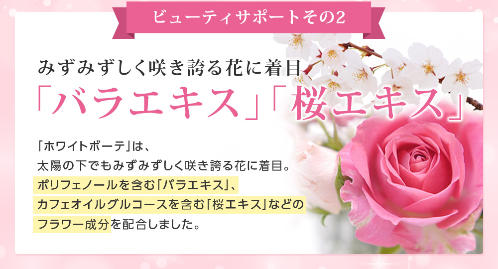 ビューティサポートその2 みずみずしく咲き誇る花に着目「バラエキス」「桜エキス」「ホワイトボーテ」は、太陽の下でもみずみずしく咲き誇る花に着目。ポリフェノールを含む「バラエキス」、カフェオイルグルコースを含む「桜エキス」などのフラワー成分を配合しました。