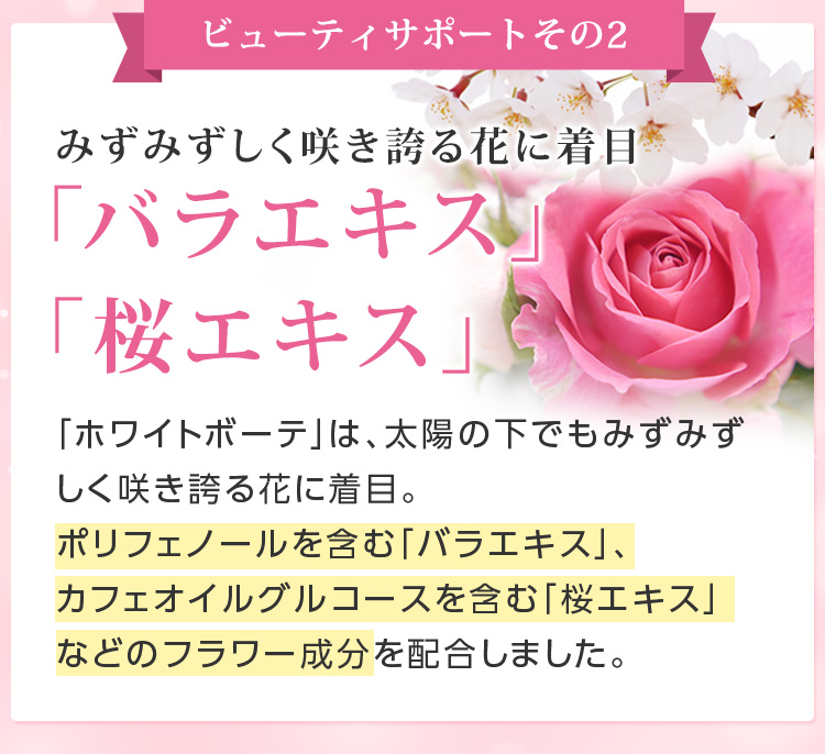 ビューティサポートその2 みずみずしく咲き誇る花に着目「バラエキス」「桜エキス」「ホワイトボーテ」は、太陽の下でもみずみずしく咲き誇る花に着目。ポリフェノールを含む「バラエキス」、カフェオイルグルコースを含む「桜エキス」などのフラワー成分を配合しました。